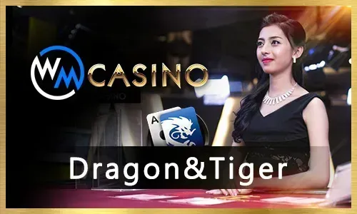 Online Bingo Guide